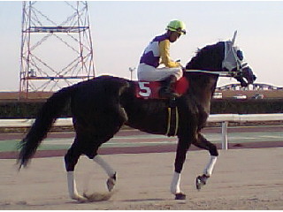 070213-2.jpg