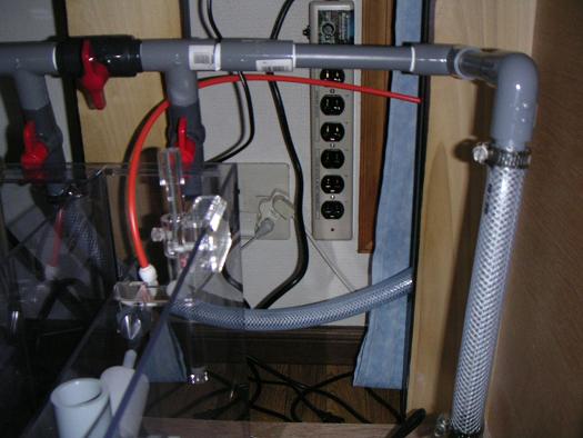PICT0003.JPG