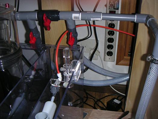 PICT0004.JPG