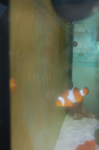 DSC_0188.JPG