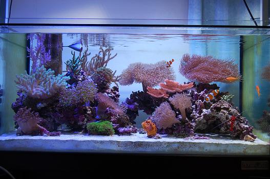 DSC_0211.JPG