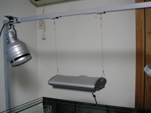 asas.JPG