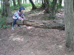 里山遊び