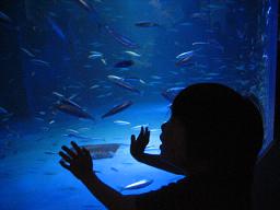 水族館