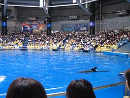 水族館