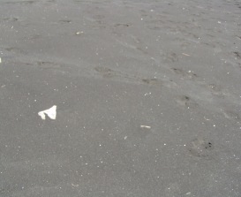 九十九里浜の砂
