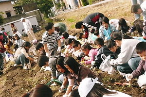 お芋さんの収穫 028.jpg