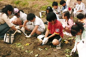 お芋さんの収穫 017.jpg