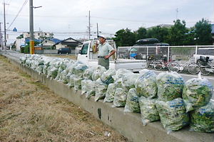お芋さんの収穫 013.jpg