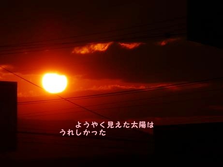 お日様が・・.JPG