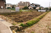 お芋さんの収穫 030.jpg