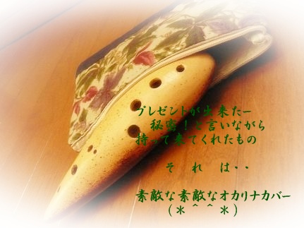 オカリナ入れ♪.JPG