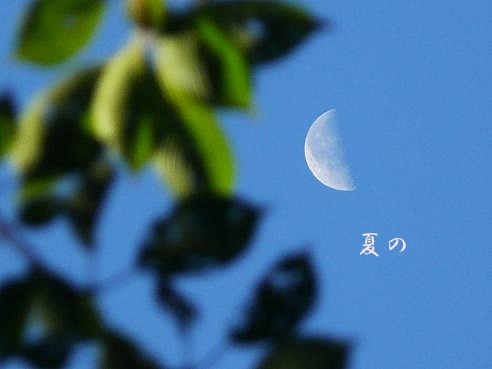 P1090444.JPG