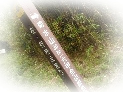 菊水山へゴー.JPG