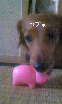 ぶた食うオレ