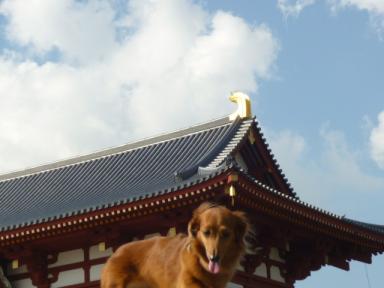 らぶおと朱雀門