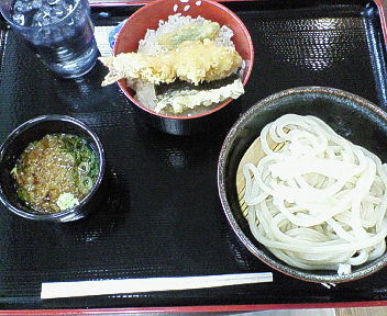 ジョイフルホンダ讃岐うどん+ミニ天丼.jpg