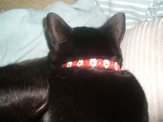 Fw:電子メールで送信:  画像 001