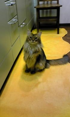 キッチンマット2