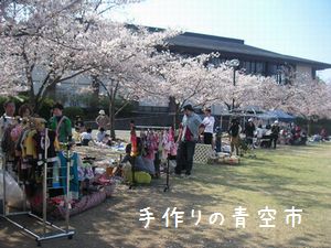 PICT2581.JPG