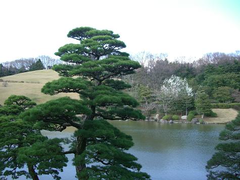 日本庭園.JPG