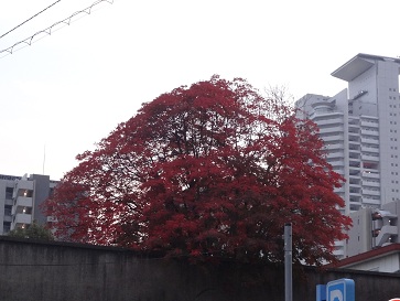 大阪３.jpg