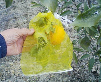 コピー (1) ~ F1000002.JPG