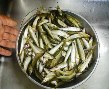 コピー (1) ~ F1000006.JPG