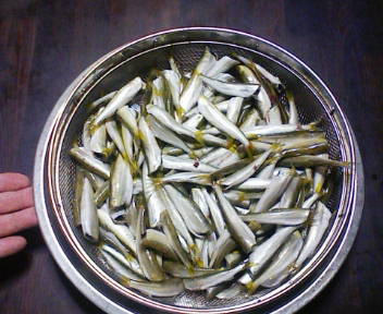 コピー (1) ~ F1000008.JPG