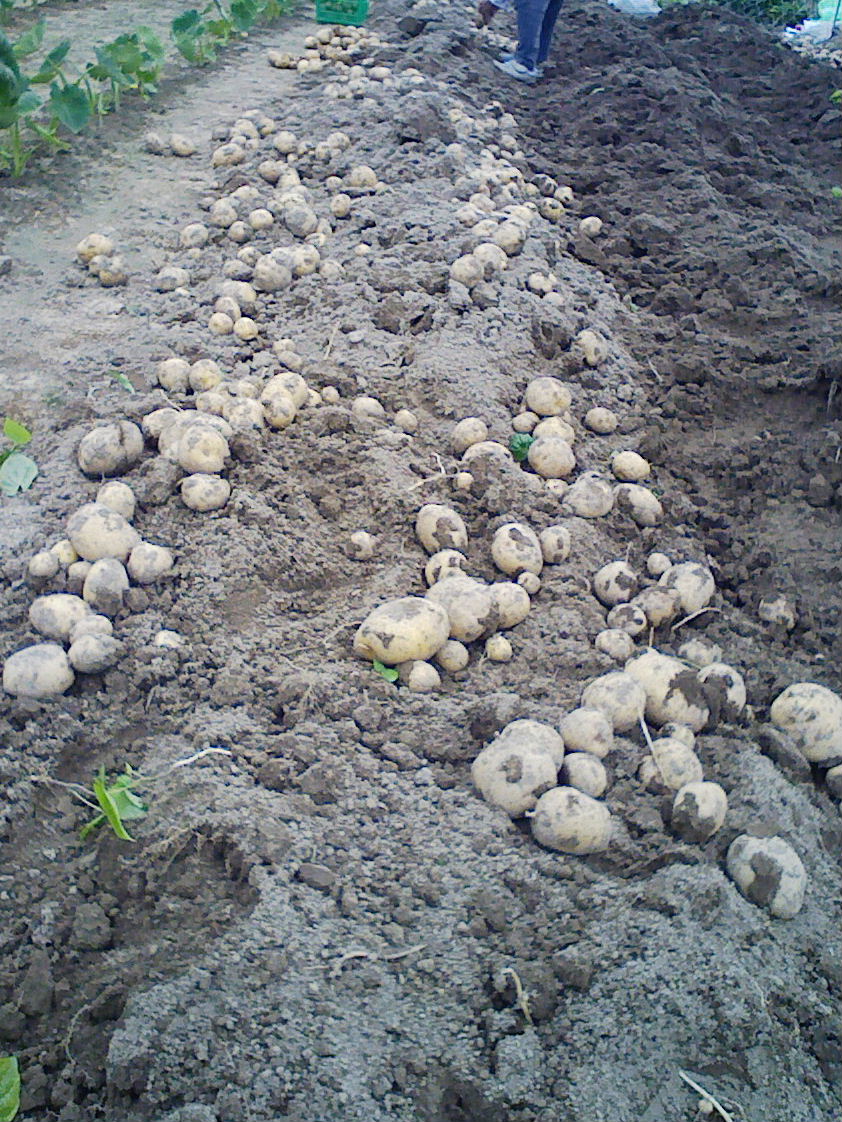 コピー (13) ~ F1000003.JPG