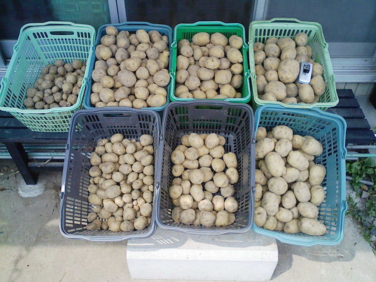 コピー (16) ~ F1000002.JPG