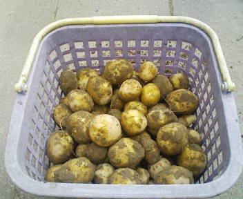 コピー (2) ～ F1000004.JPG