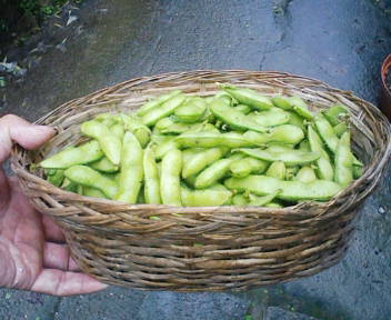 コピー (1) ~ F1000006.JPG