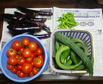 コピー (1) ~ F1000010.JPG