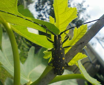 コピー (1) ~ F1000003.JPG