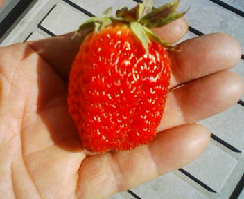 コピー (1) ～ F1000004.JPG