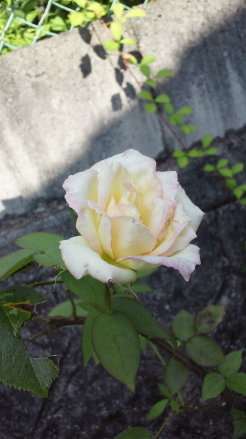 2010-08-27 10:14:19