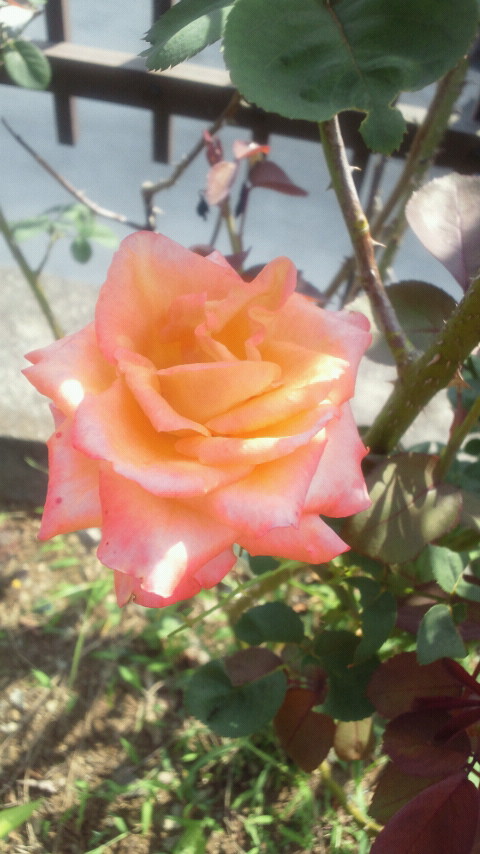 2010-08-24 10:04:30