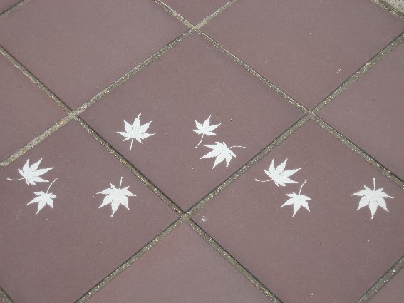 画像 008 niyajimaSA.jpg