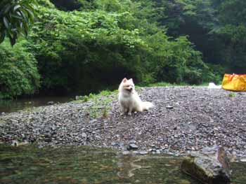 おいで♪