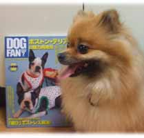 DOGFAN７月号