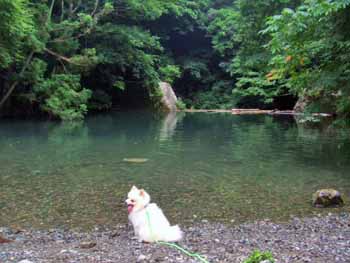 端っこで水浴び