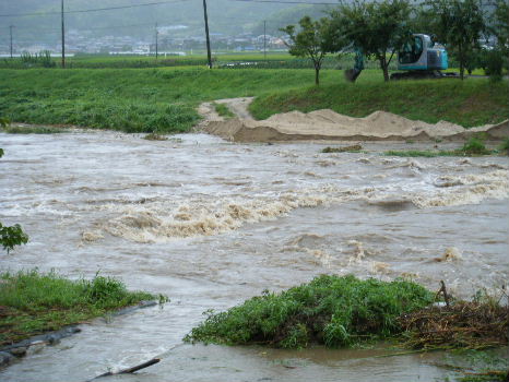 DSCF7707.JPG