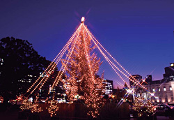 osaka光のルネサンス2008大阪クリスマスイルミネーション