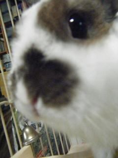DSCF9277.jpg