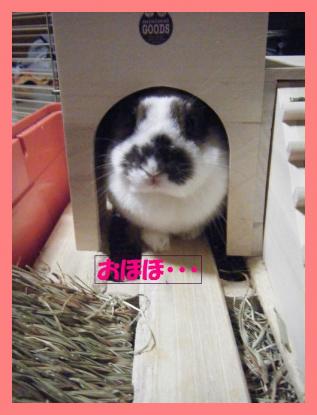 DSCF8545.jpg