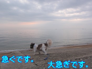 0810-03.jpg