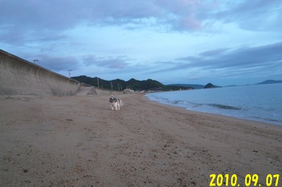 0907-a1.jpg