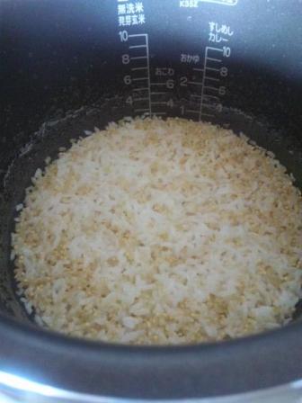 発芽玄米９