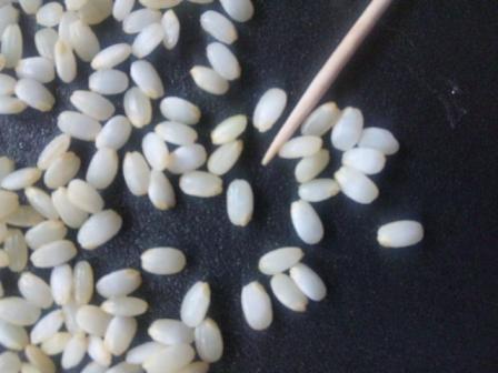 発芽玄米４６